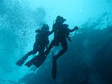 Isla del Coco - 26